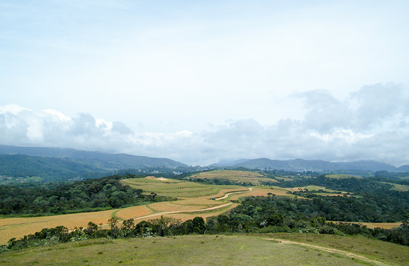 Moon Plains