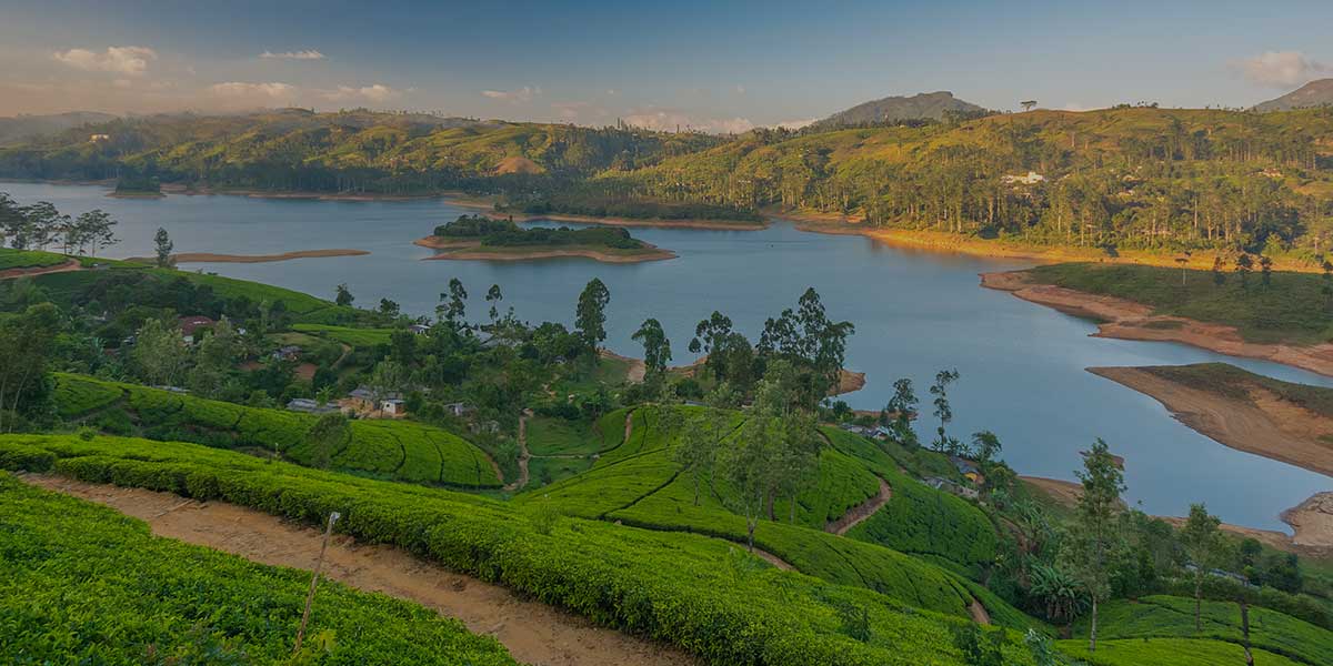 Nuwara Eliya : Nuwara Eliya Things to Do & See, Attractions | Love Sri ...