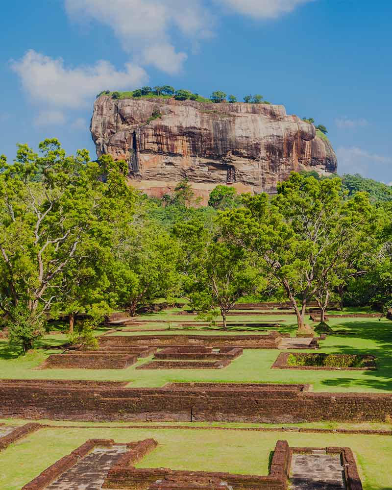 Jardins De Sigiriya Sri Lanka