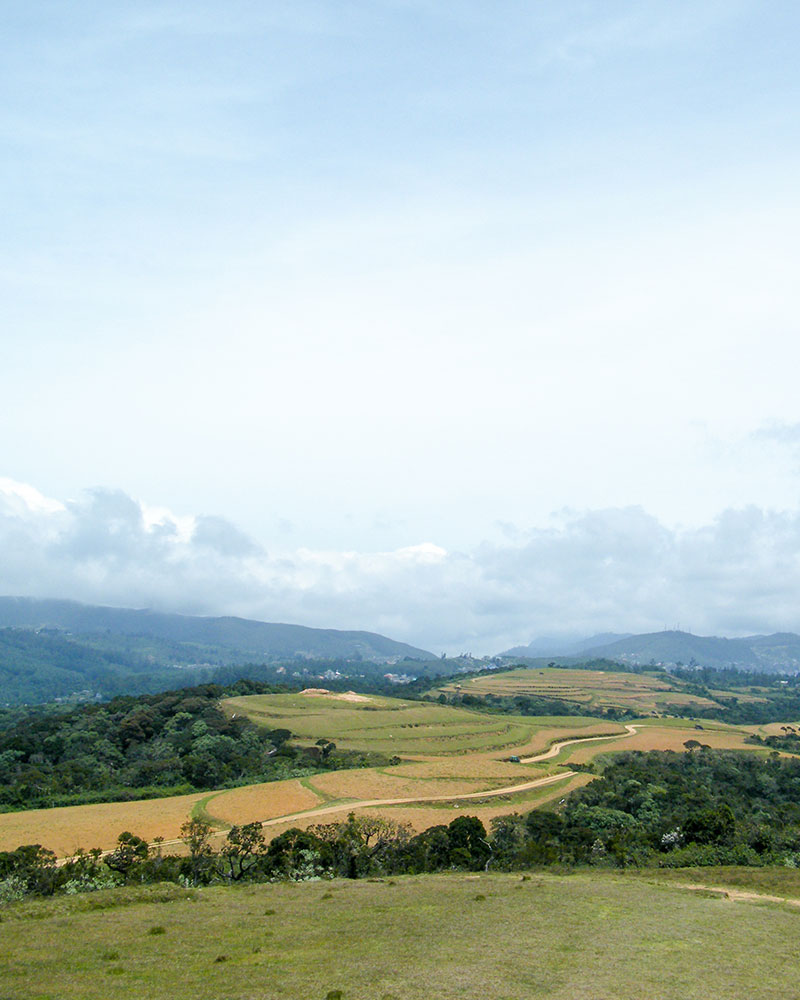 Moon Plains | Attractions in Nuwara Eliya | Love Sri Lanka