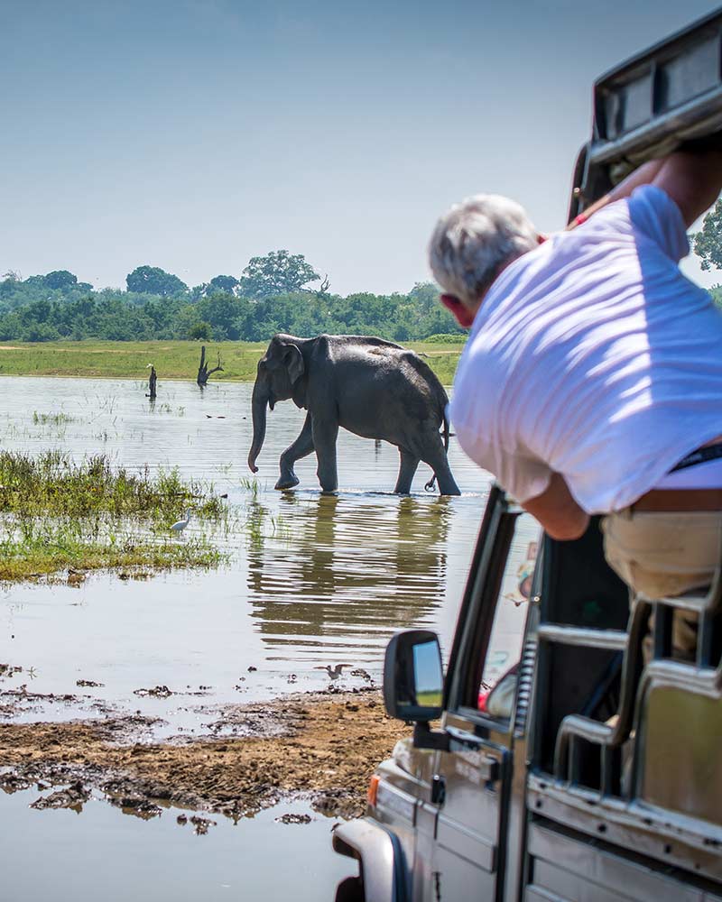 Udawalawe National Park | Attractions In Tangalle | Love Sri Lanka